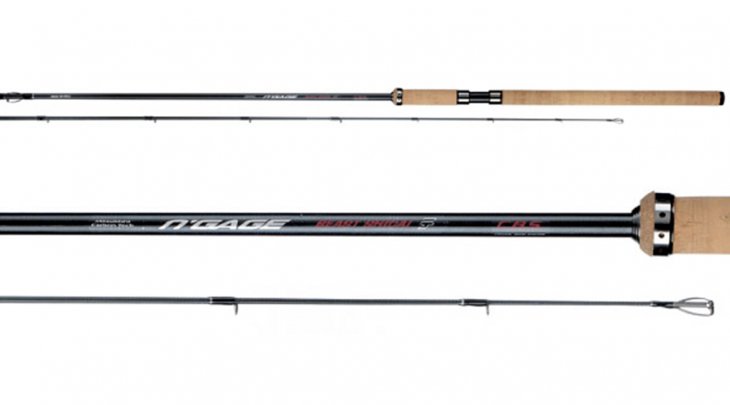 ΚΑΛΑΜΙ AWA-SHIMA N'GAGE BEAST SHIDAI 3m/20-75gr SPINNING