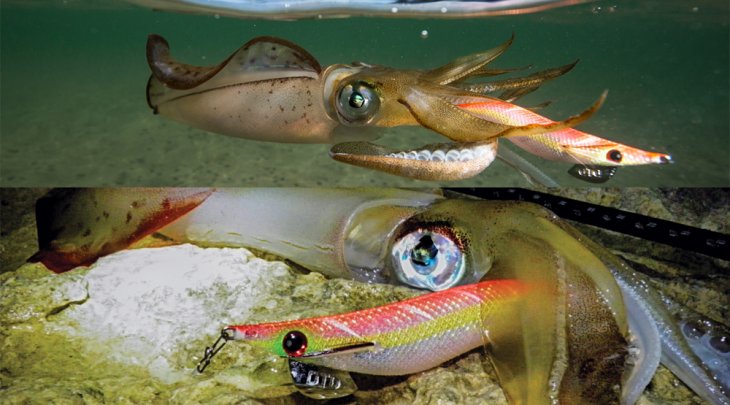 ΚΑΛΑΜΑΡΙΕΡΑ DTD RETRO OITA 2.5 - BLUE/ΜΠΛΕ