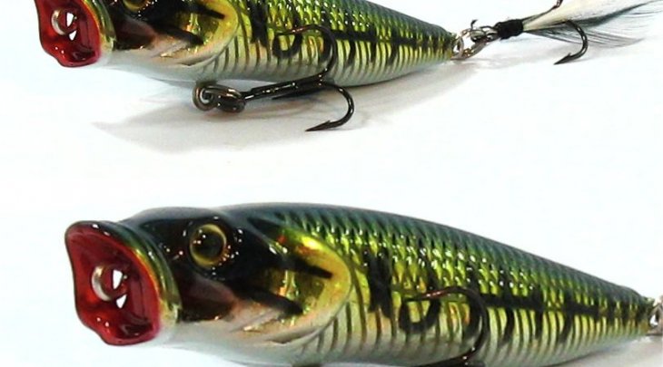 ΨΑΡΑΚΙ AWA-SHIMA BUBBLE WALKER/AERO POPPER 80mm / 14.5gr FLOATING