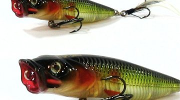 ΨΑΡΑΚΙ AWA-SHIMA BUBBLE WALKER/AERO POPPER 80mm / 14.5gr FLOATING