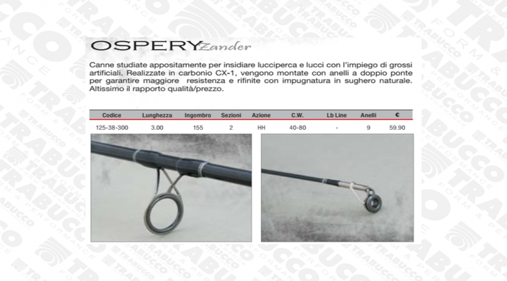 ΚΑΛΑΜΙ RAPTURE OSPERY ZANDER 3.00m/40-80gr SHORE JIG