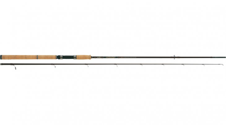 RAPTURE INTRUDER 3.00m/20-50gr SPINNING
