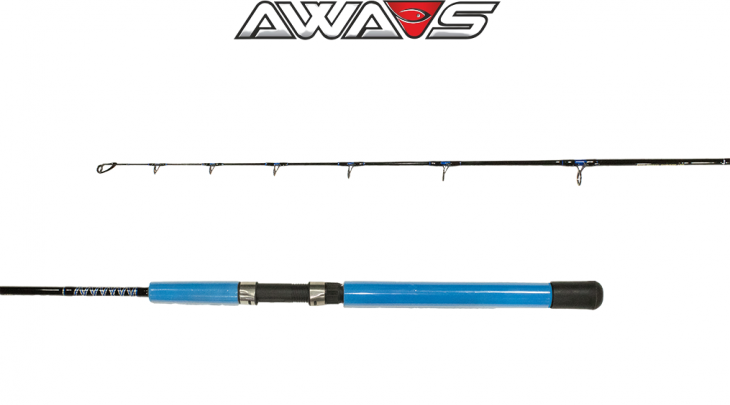 ΚΑΛΑΜΙ AWA-SHIMA AIRAKI BLUE BAYLINER 1.65m 20lbs