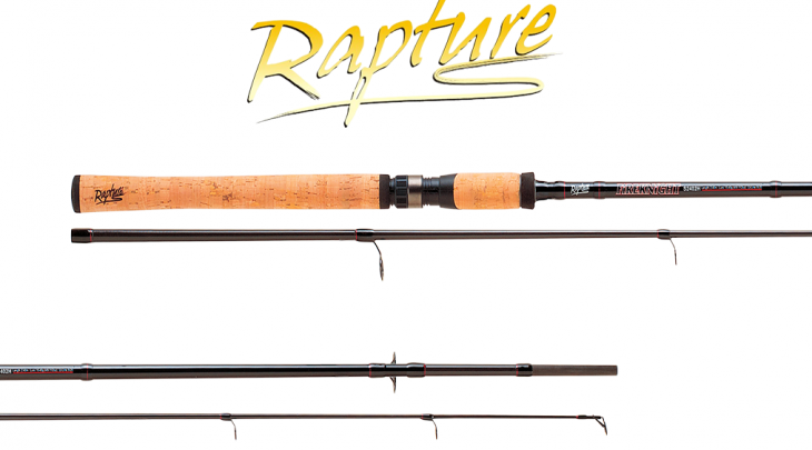 RAPTURE FIREKNIGHT SPIN 2.70m/20-60gr SPINNING ROD