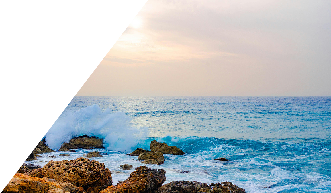 ΒΡΕΙΤΕ ΟΛΑ ΤΑ ΠΡΟΪΟΝΤΑ  KALI KUNNAN ΕΔΩ