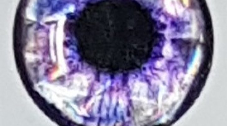 ΜΑΤΑΚΙΑ GFS 4D LIVE EYES 16mm ΜΩΒ/PURPLE 