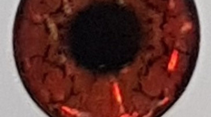 ΜΑΤΑΚΙΑ GFS 4D LIVE EYES 16mm ΠΟΡΤΟΚΑΛΙ/ORANGE 