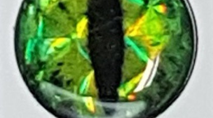 ΜΑΤΑΚΙΑ GFS 4D LIVE EYES 10mm ΜΑΤΙ ΓΑΤΑΣ/CATS EYE