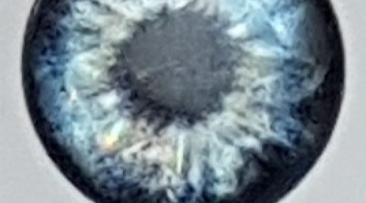 ΜΑΤΑΚΙΑ GFS 4D LIVE EYES 20mm ΓΚΡΙ ΤΟΥ ΠΑΓΟΥ/ICE GREY