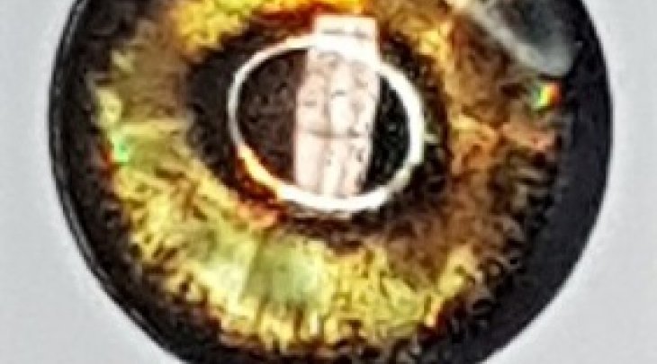 ΜΑΤΑΚΙΑ GFS 4D LIVE EYES 16mm ΚΙΤΡΙΝΟ/YELLOW