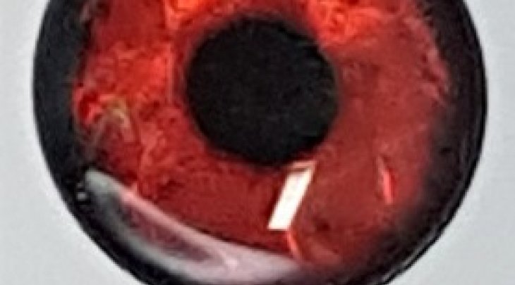 ΜΑΤΑΚΙΑ GFS 4D LIVE EYES 16mm ΚΟΚΚΙΝΟ/RED 