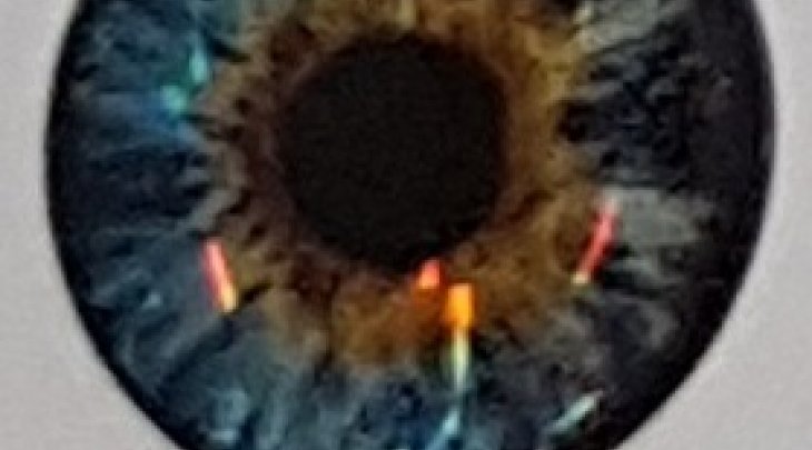 ΜΑΤΑΚΙΑ GFS 4D LIVE EYES 28m ΓΑΛΑΞΙΑΣ/GALAXY