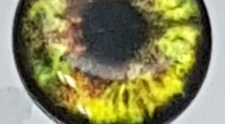 ΜΑΤΑΚΙΑ GFS 4D LIVE EYES 24mm ΚΙΤΡΙΝΟ/YELLOW 