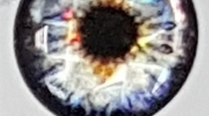 ΜΑΤΑΚΙΑ GFS 4D LIVE EYES 16mm ΔΙΑΜΑΝΤΙ/DIAMOND