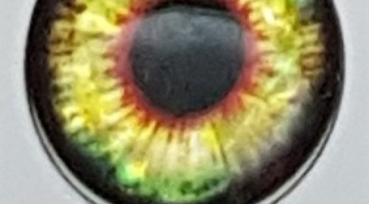 ΜΑΤΑΚΙΑ GFS 4D LIVE EYES 20mm ΚΙΤΡΙΝΟ /YELLOW 