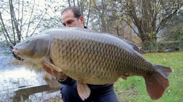 ΚΑΛΑΜΙ TRABUCCO INDULGENCE CARP 3.60m/3.50lbs CARP FISHING