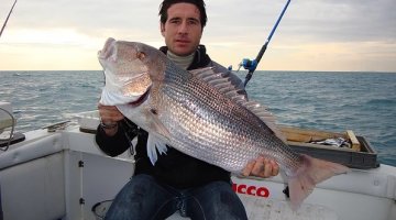 ΚΑΛΑΜΙ TRABUCCO MARINARA 3.50m/20-80gr ΚΑΘΕΤΗΣ