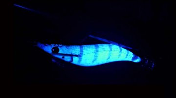 ΚΑΛΑΜΑΡΙΕΡΑ DTD REAL FISH OITA 3.0 /16.2gr