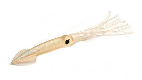 ΚΑΛΑΜΑΡΙ BEHR THE REAL SQUID 15cm - SG (ΔΙΑΦΑΝΟ ΠΕΡΛΕ)